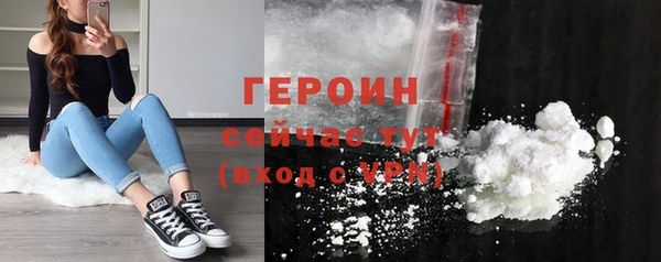 прущие грибы Медногорск