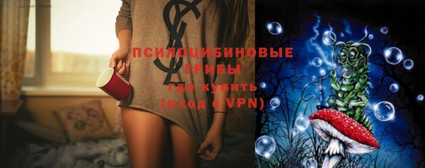 прущие грибы Медногорск