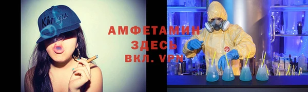 прущие грибы Медногорск
