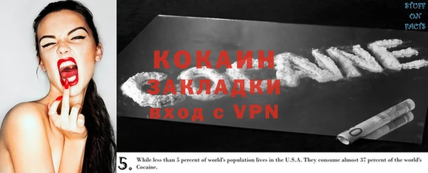 прущие грибы Медногорск