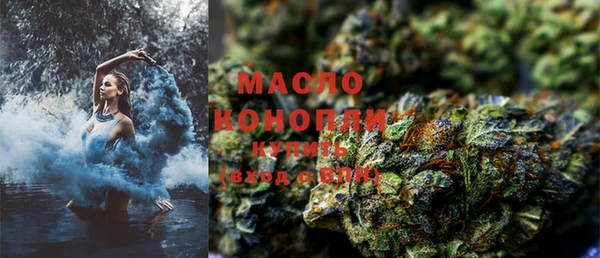 прущие грибы Медногорск