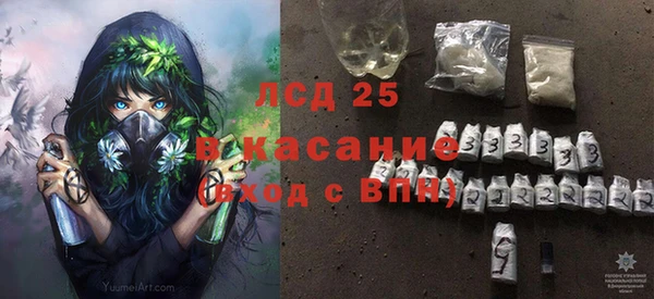 прущие грибы Медногорск