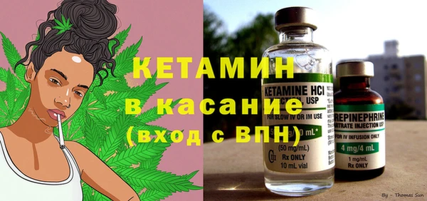прущие грибы Медногорск