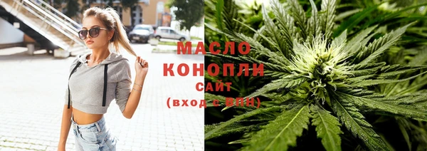 прущие грибы Медногорск