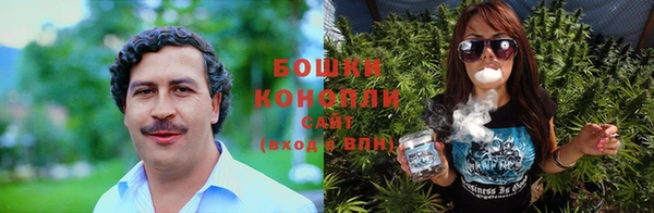 прущие грибы Медногорск