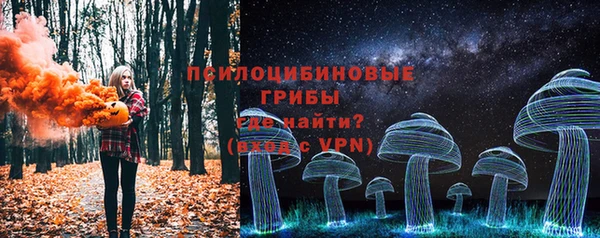 spice Мегион
