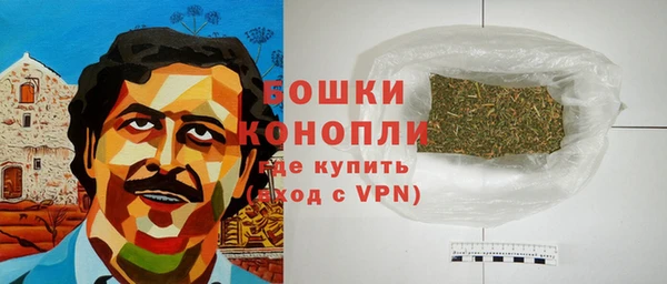 spice Мегион